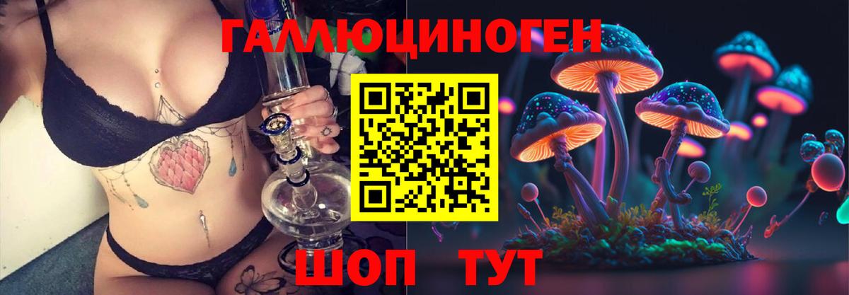 Галлюциногенные грибы Psilocybine cubensis  Псилоцибиновые грибы мицелий  Домодедово  Вход с VPN 
